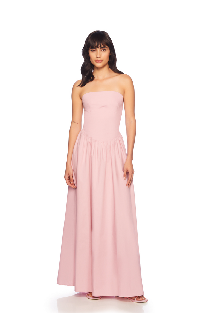 Pink Poplin Drop Waist Tube Dress Maxi Dress