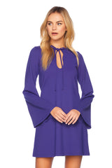 Dark Slate Blue Bell Sleeve Keyhole Tie Dress Mini Dress