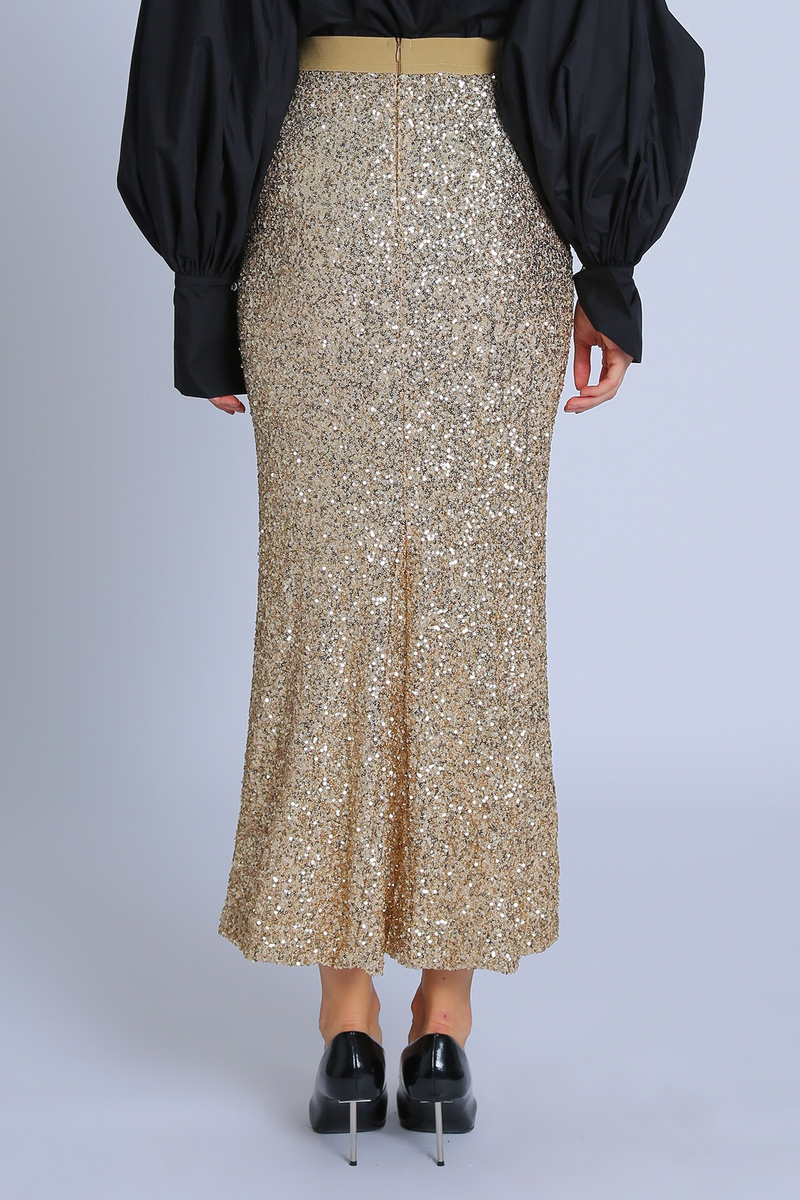 Gray Disco Night Sequin Pencil Skirt Maxi Skirt