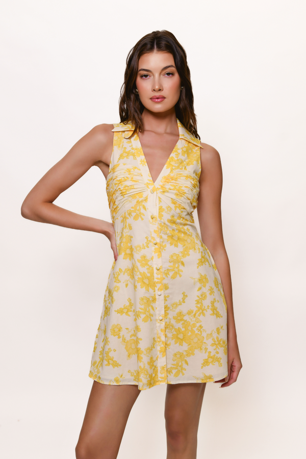 Colt Dress in Champagne Danity Fuzzy Floral