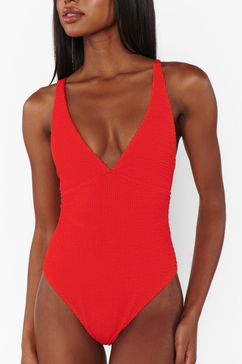 Brown Cape May One Piece Bathing Suit