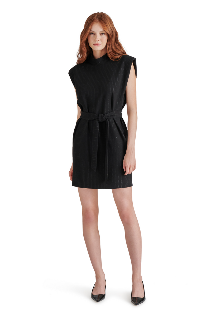 Black Adelie Dress Mini Dress