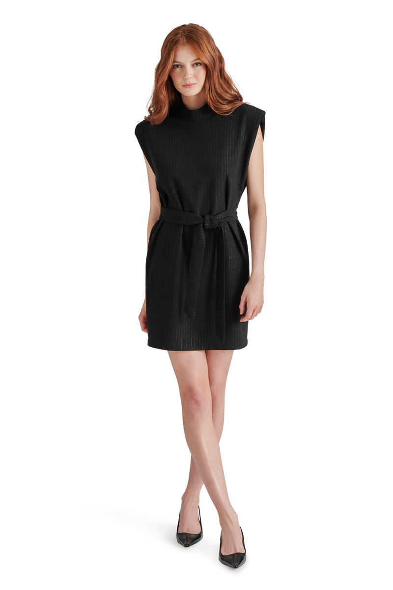 Black Adelie Dress Mini Dress