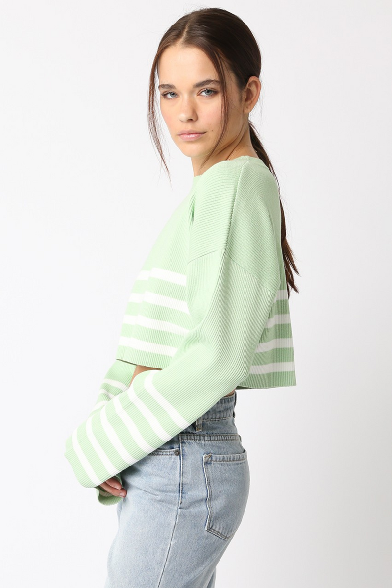 Lavender Ash Cropped Sweater Sweater