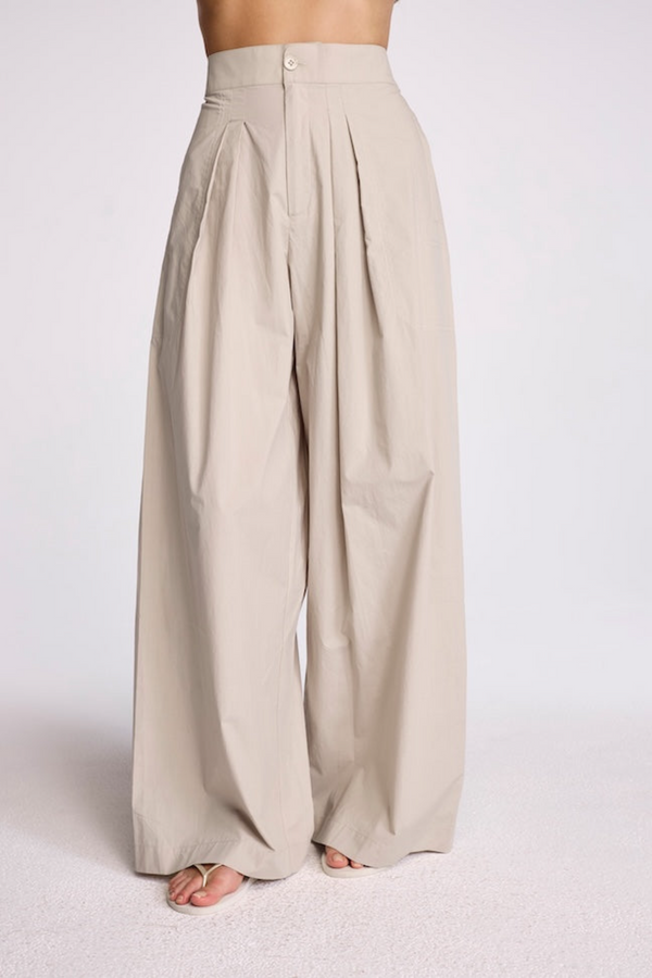 Light Gray Irene Pant Pant